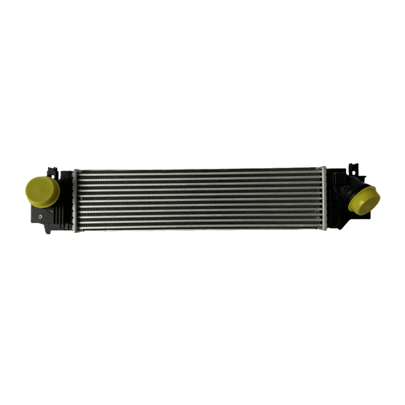 Premium High Performance Intercooler OEM 17517617598 for BMW F45 F48 F46 F39 Auto Cooling System Replacement Parts Hot Sale